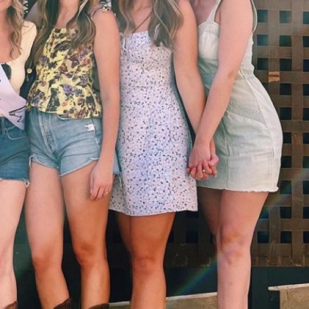 Aritzia Floral Mini Dress - White and Blue - Picture 5 of 5